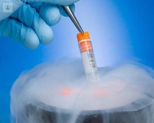 ¿Por qué congelar los embriones? 