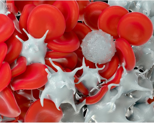 funciones-y-patologias-de-las-plaquetas imagen de artículo