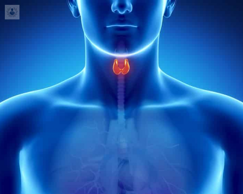 respuesta-a-las-principales-dudas-ante-el-cancer-de-laringe imagen de artículo