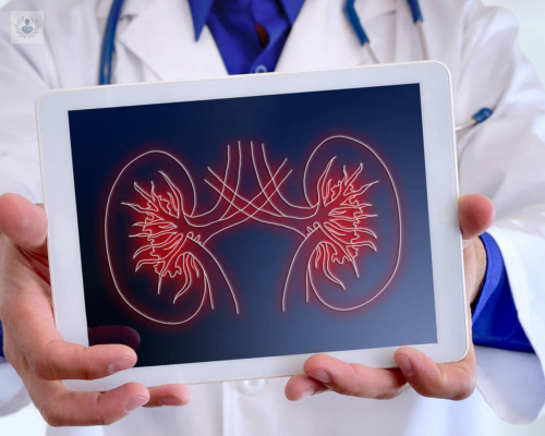 nefropatia-diabetica-que-es-y-como-tratarla imagen de artículo