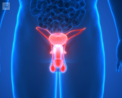enfermedad-de-la-peyronie-fases-diagnostico-y-tratamiento imagen de artículo