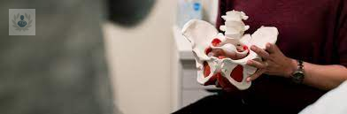 conoce-la-enfermedad-del-suelo-pelvico-y-como-tratarla imagen de artículo