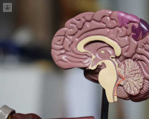¿Cómo afectan los Tumores Cerebrales a nuestro cuerpo?