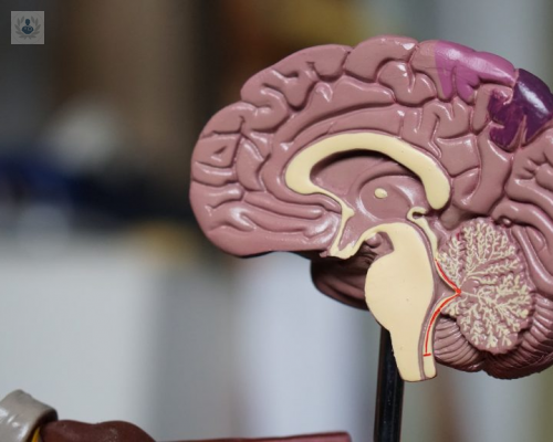 como-afectan-los-tumores-cerebrales-a-nuestro-cuerpo imagen de artículo