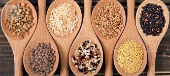 que-es-la-fibra-y-donde-la-podemos-encontrar imagen de artículo