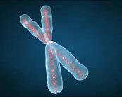 enfermedad-de-huntington-tratamiento-parte-2 imagen de artículo