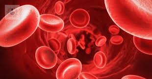 anemia-ferropenica-causas-de-la-deficiencia-de-hierro-en-ninos-p1 imagen de artículo