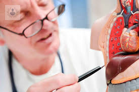 Cáncer de Hígado: cómo se relaciona con la Cirrosis y tratamiento (P2)