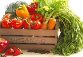 a-comer-bien-soluciones-ecologicas-de-vida imagen de artículo