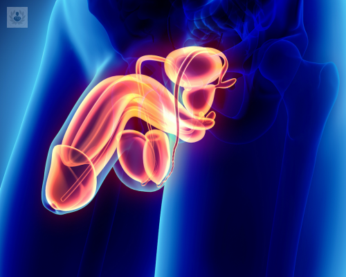 disfuncion-erectil-causas-mas-comunes-y-tratamiento-p2 imagen de artículo