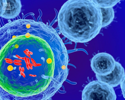 que-son-las-enfermedades-autoinmunes-lupus-tiroiditis-enfermedad-de-sjogren imagen de artículo