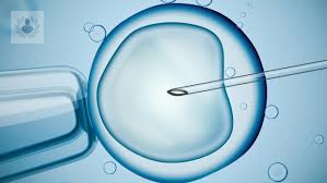 tratamiento-de-fertilidad-in-vitro-cual-es-el-primer-paso-p2 imagen de artículo