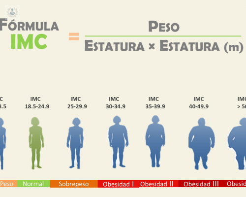 como-saber-si-sufrimos-algun-grado-de-obesidad-calculando-el-indice-de-masa-corporal-imc imagen de artículo