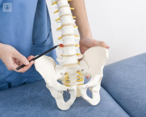 se-pueden-prevenir-las-hernias-discales-averigua-la-respuesta imagen de artículo