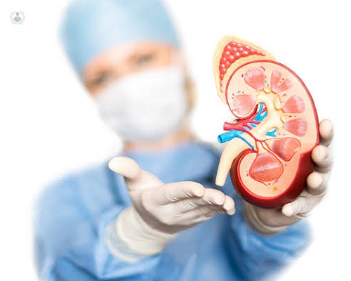 trasplante-renal-aspectos-que-necesita-saber imagen de artículo