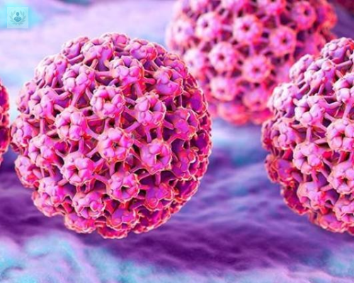cuales-son-los-sintomas-del-virus-del-papiloma-humano-conoce-los-detalles imagen de artículo