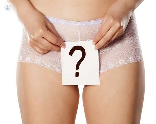 todo-sobre-la-labioplastia-o-cirugia-reductora-de-los-labios-menores-de-la-region-genital-femenina-y-el-laser-endovaginal imagen de artículo