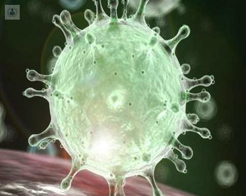 La OMS ha dado nombre al nuevo Coronavirus: conoce los distintos tipos