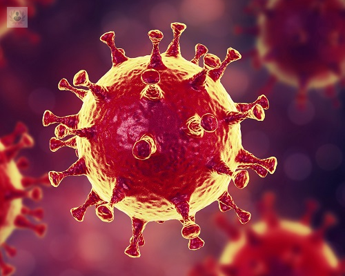 Todo lo que debes saber sobre el nuevo Coronavirus 2019-nCOV
