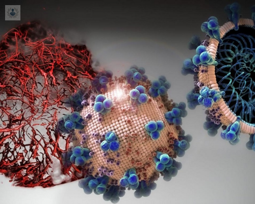 Coronavirus: vulnerabilidad en la punta de la estructura