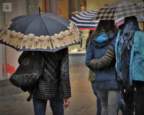 la-temporada-de-lluvias-trae-consigo-otros-virus-estacionales imagen de artículo