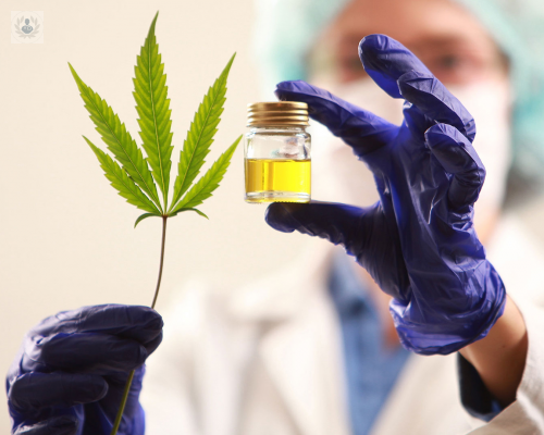 Uso de Cannabis Medicinal como terapia para tratar enfermedades 
