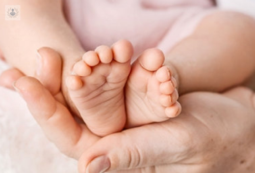 descubren-como-se-generan-las-malformaciones-en-el-cuerpo imagen de artículo