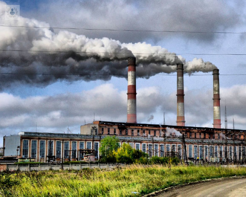 la-contaminacion-podria-ser-causante-de-padecimientos-neurologicos imagen de artículo