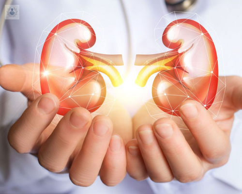 cuidar-rinones-esencial-una-buena-salud imagen de artículo
