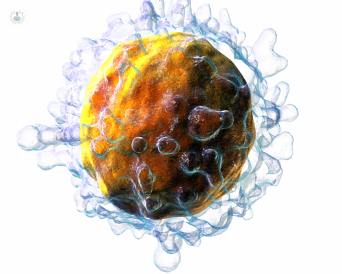 que-son-las-celulas-t imagen de artículo