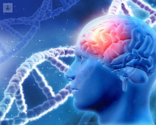 la-relacion-entre-el-colesterol-y-la-demencia imagen de artículo