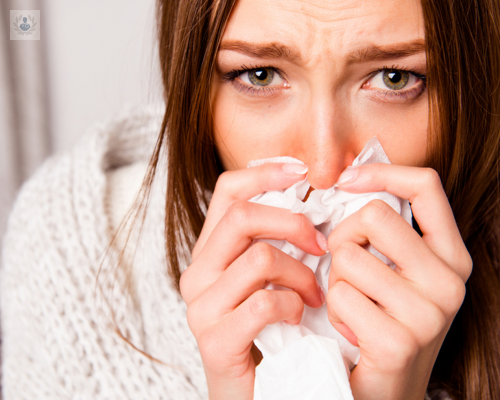 ¿Cuáles son las causas de la Rinitis Alérgica? Conoce todos los detalles