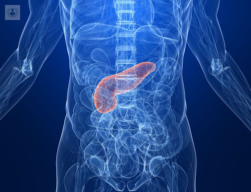 como-identificar-la-aparicion-de-quistes-en-el-pancreas imagen de artículo