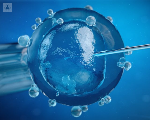 inseminacion-artificial-como-se-realiza-este-procedimiento imagen de artículo