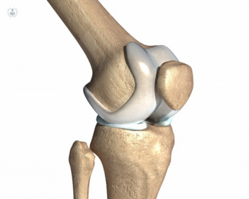 anatomia-de-la-rodilla imagen de artículo