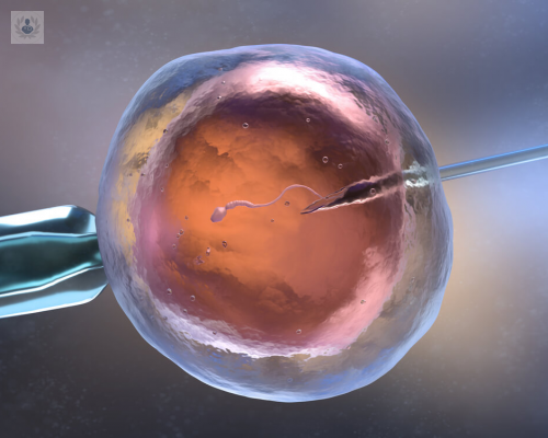 fertilizacion-in-vitro-ventajas-y-desventajas imagen de artículo
