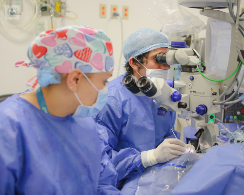 cuales-son-las-causas-y-tratamientos-para-las-cataratas imagen de artículo