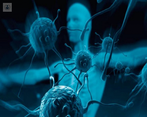 lea-sobre-la-regeneracion-celular-y-conozca-sus-beneficios imagen de artículo