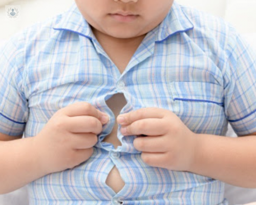 obesidad-infantil-una-epidemia-del-siglo-xxi imagen de artículo