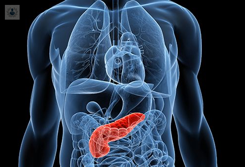 todo-lo-que-no-sabias-de-la-hipertension-portal imagen de artículo