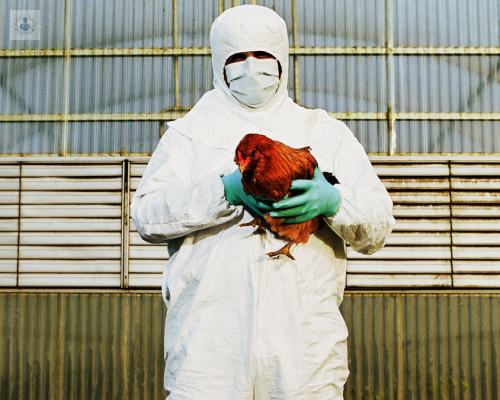 gripe-aviar-en-china-representa-un-nuevo-peligro imagen de artículo