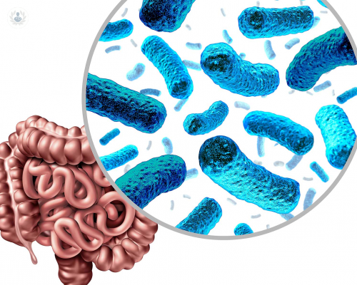 ¿Por qué es importante la Microbiota en el cuerpo humano?