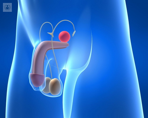 la-disfuncion-erectil-conoce-mas-sobre-este-trastorno imagen de artículo