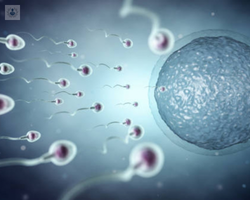 aun-es-posible-ser-madre-el-proceso-de-donacion-de-ovulos imagen de artículo