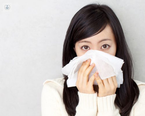 la-gripe-estacional-una-enfermedad-inofensiva imagen de artículo