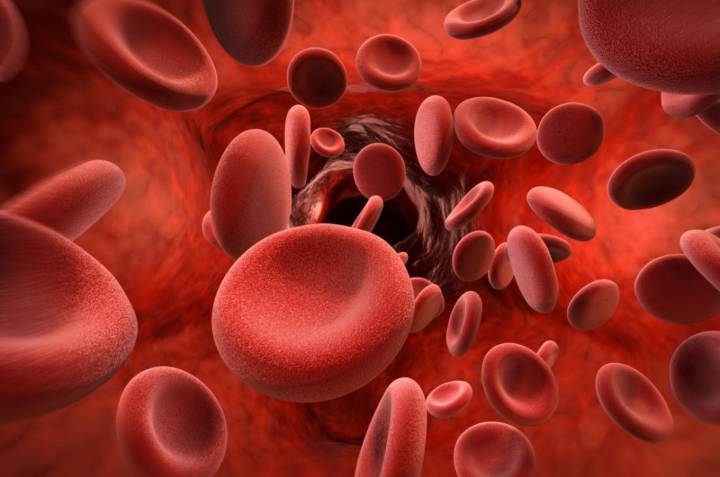 17-de-abril-dia-mundial-de-la-hemofilia imagen de artículo
