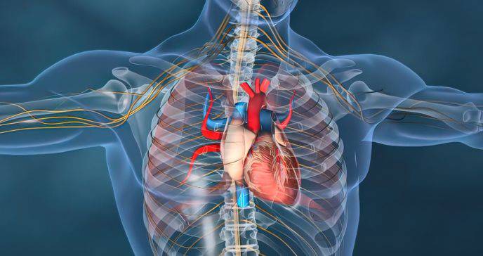 analisis-de-la-onda-de-pulso-edad-vascular imagen de artículo