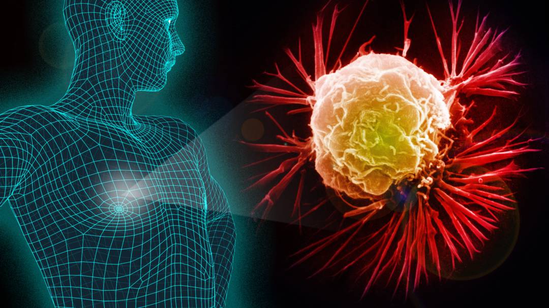 como-puede-afectar-el-cancer-a-la-salud-cardiovascular imagen de artículo