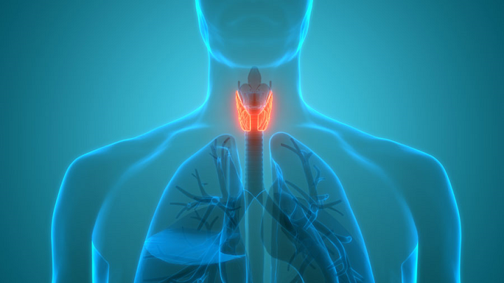 hipotiroidismo-trastornos-hormonales-y-metabolicos imagen de artículo