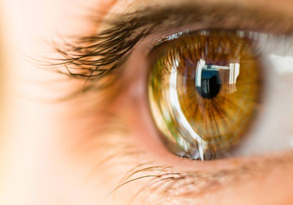 trasplante-de-cornea-la-opcion-para-recuperar-tu-vision imagen de artículo
